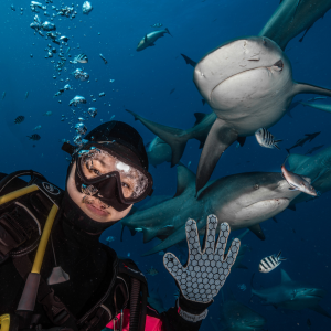 斐济贝卡持证鲨鱼深潜 感受肾上腺素的飙升(Beqa Shark Diving)